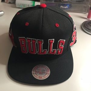 Bulls Fitted